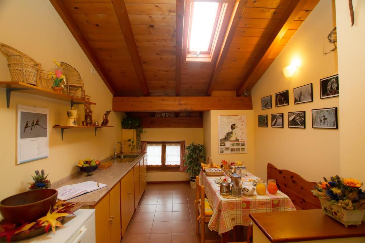 Guest House Il Nido Dello Svasso -Foresteria Lombarda- ソーリコ エクステリア 写真